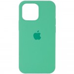 Чехол накладка SK Original TPU Silicone для Apple iPhone 13 Pro Spearmint (ARM61787)