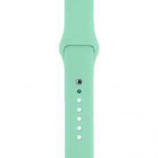 Ремешок TPU ArmorStandart Sport (3 Straps) для Apple Watch 38/40/41mm Succulent (ARM65081)